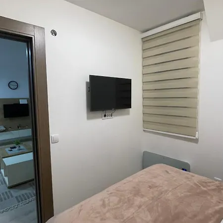 Geregs Alibi Kopaonik