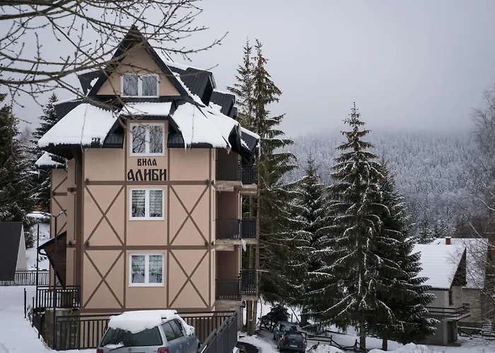 Geregs Alibi Kopaonik